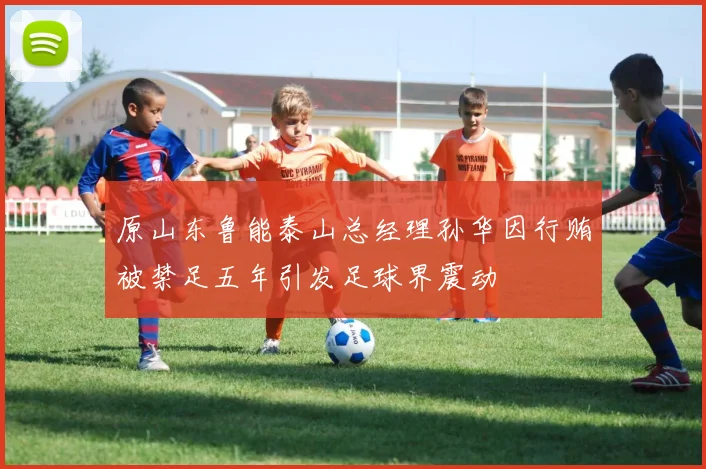 原山东鲁能泰山总经理孙华因行贿被禁足五年引发足球界震动