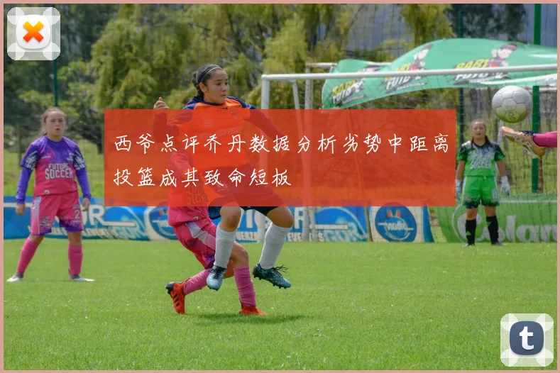 西爷点评乔丹数据分析劣势中距离投篮成其致命短板